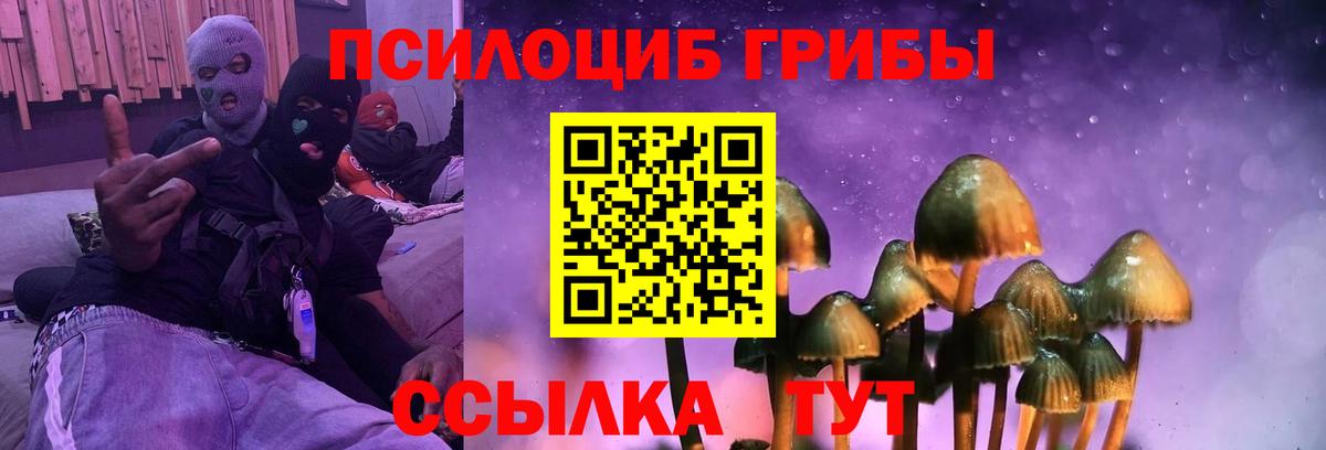 Новодвинск  магазин продажи   Вход с VPN  Псилоцибиновые грибы мицелий  Галлюциногенные грибы ЛСД 